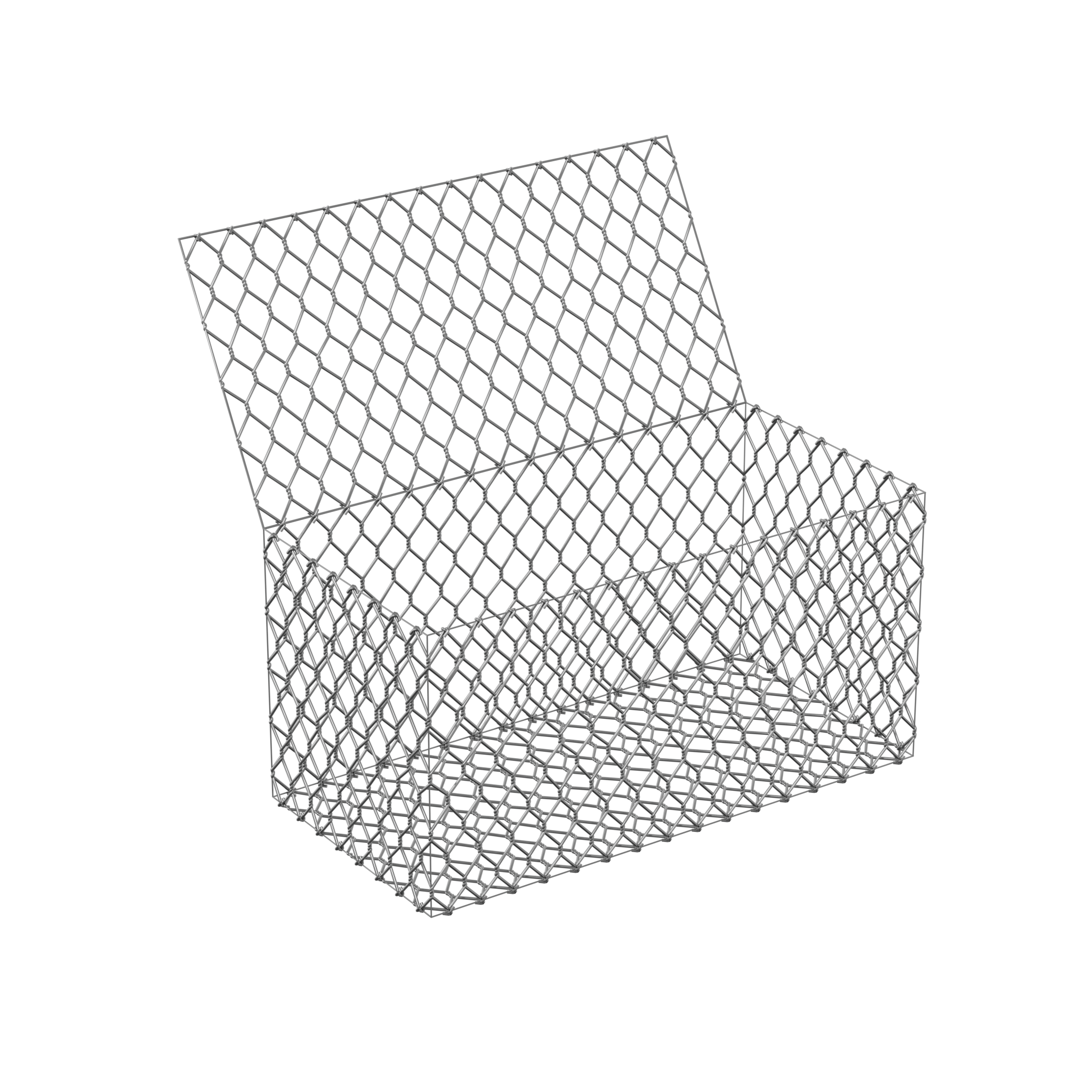 Model 1 R1.png